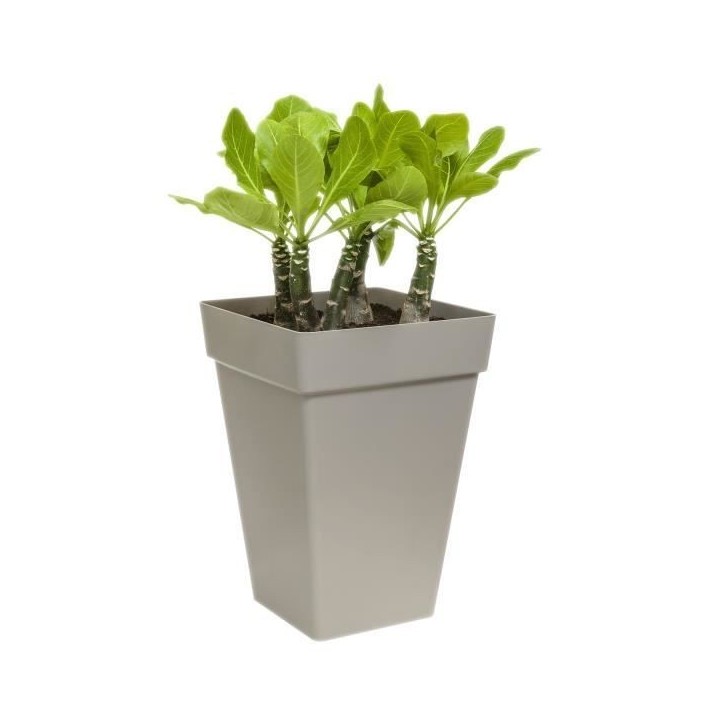ELHO Pot de fleurs carré haut Loft Urban 30 - 29,3 x 29,3 x H41,3 cm - Blanc - 100% recyclé ELHO Pot de fleurs carré haut Loft Urban 30 - 29,3 x 29,3 x H41,3 cm - Blanc - 100% recyclé