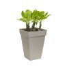 ELHO Bac a fleurs Loft Urban Carré Haut - Ø 29 x H 41 cm - Extérieu