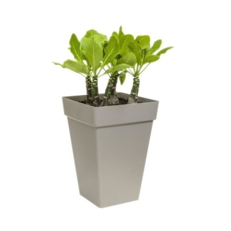 ELHO Bac a fleurs Loft Urban Carré Haut - Ø 37 x H 51 cm - Extérieur - 100% recyclé - Blanc