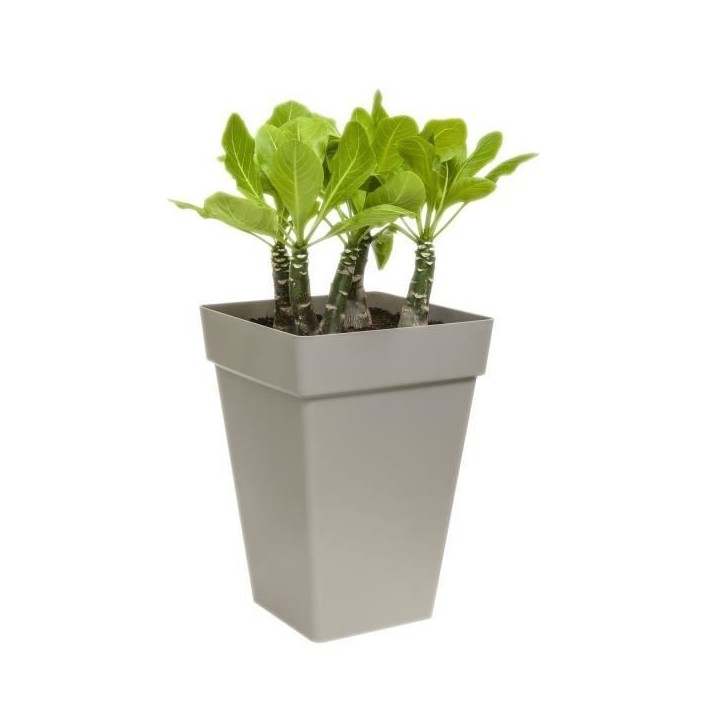 ELHO Bac a fleurs Loft Urban Carré Haut - Ø 37 x H 51 cm - Extérieur - 100% recyclé - Blanc ELHO Bac a fleurs Loft Urban Carré Haut - Ø 37 x H 51 cm - Extérieur - 100% recyclé - Blanc