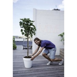 ELHO Pot de fleurs rond avec roues Loft Urban - Ø 48.5 x H 44.5 cm -
