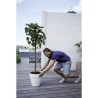 ELHO Pot de fleurs rond avec roues Loft Urban - Ø 48.5 x H 44.5 cm -