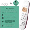 Téléphone fixe sans fil - LOGICOM - DECT ILOA 150 SOLO - Framboise - Téléphone fixe sans fil - LOGICOM - DECT ILOA 150 SOLO - Framboise -
