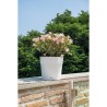 DEROMA Pot de fleurs Vaso Save R - 48 x H43,1 cm - 58L - Blanc