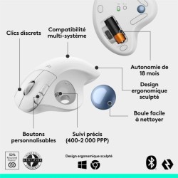 Souris - Sans fil - Logitech - Ergo M575S - Blanc