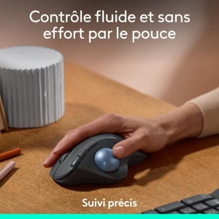 Souris - Sans fil - Logitech - Ergo M575S - Graphite