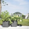 DEROMA Pot de fleurs Cube Millennium R - 39 x H39,1 cm - Anthracite -