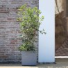 DEROMA Pot de fleurs Cube Millennium R - Ashgrey - 39 x H39,1 cm - A r