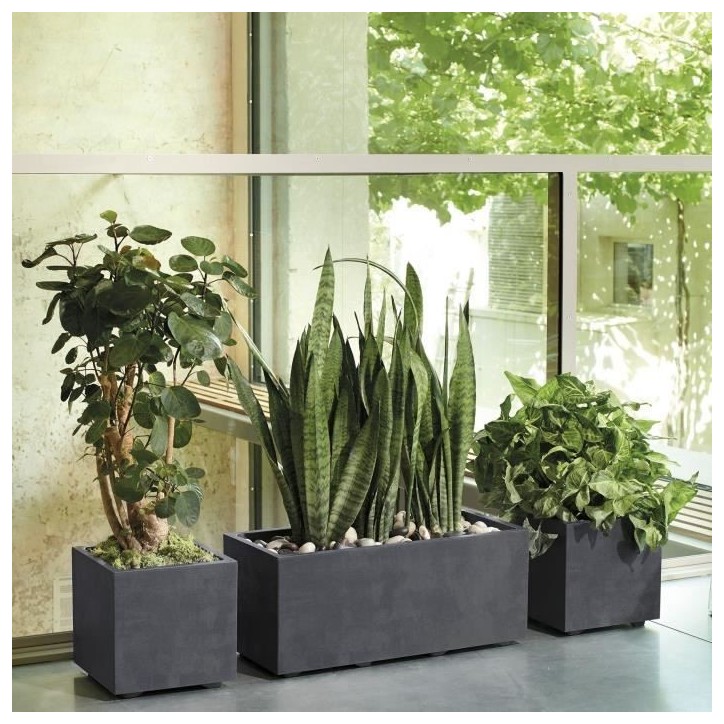 DEROMA Pot de fleurs Cube Millennium R - 25 x H25 cm - Anthracite - A réserve d'eau DEROMA Pot de fleurs Cube Millennium R - 25 x H25 cm - Anthracite - A réserve d'eau