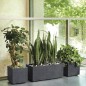 DEROMA Pot de fleurs Cube Millennium R - 25 x H25 cm - Anthracite - A réserve d'eau