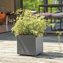 DEROMA Pot de fleurs Cube Millennium R - 25 x H25 cm - Anthracite - A