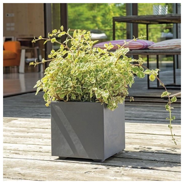DEROMA Pot de fleurs Cube Millennium R - 25 x H25 cm - Anthracite - A réserve d'eau DEROMA Pot de fleurs Cube Millennium R - 25 x H25 cm - Anthracite - A réserve d'eau
