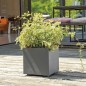 DEROMA Pot de fleurs Cube Millennium R - 25 x H25 cm - Anthracite - A réserve d'eau