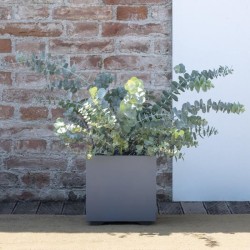 DEROMA Pot de fleurs Cube Millennium R - 25 x H25 cm - Ashgrey - A ré