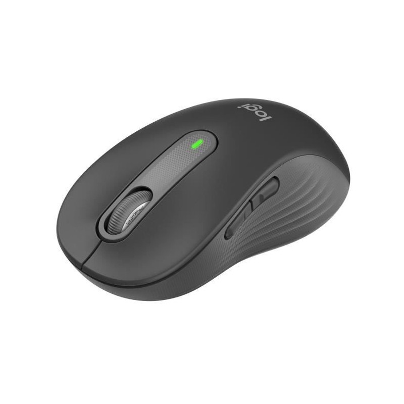 Souris - Sans fil - Logitech - Signature M650 L - Graphite - Droitier Souris - Sans fil - Logitech - Signature M650 L - Graphite - Droitier