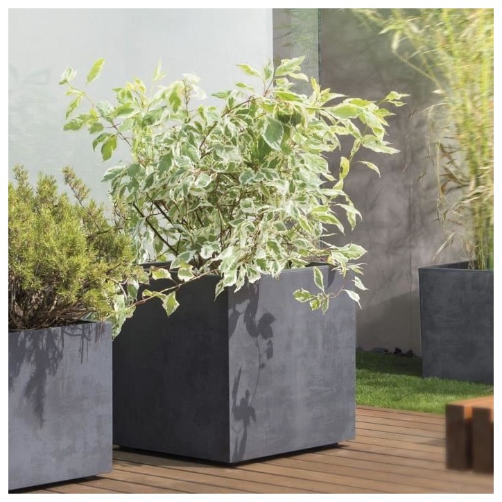 DEROMA Pot de fleurs Cube Millennium R - 49 x H49,5 cm - Anthracite - A réserve d'eau - Roulettes DEROMA Pot de fleurs Cube Millennium R - 49 x H49,5 cm - Anthracite - A réserve d'eau - Roulettes