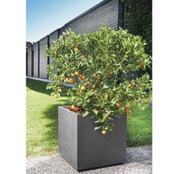 DEROMA Pot de fleurs Cube Millennium R - 49 x H49,5 cm - Anthracite -
