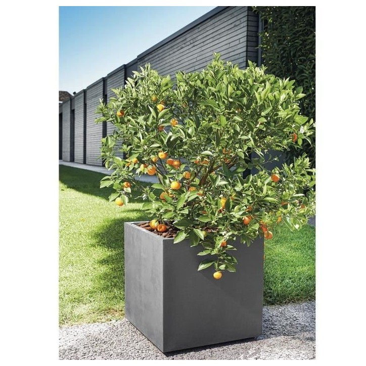 DEROMA Pot de fleurs Cube Millennium R - 49 x H49,5 cm - Anthracite - A réserve d'eau - Roulettes DEROMA Pot de fleurs Cube Millennium R - 49 x H49,5 cm - Anthracite - A réserve d'eau - Roulettes