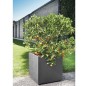 DEROMA Pot de fleurs Cube Millennium R - 49 x H49,5 cm - Anthracite - A réserve d'eau - Roulettes
