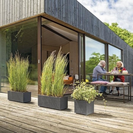 DEROMA Jardiniere Muret Millennium R - 59x25 x H25 cm - Anthracite - A réserve d'eau