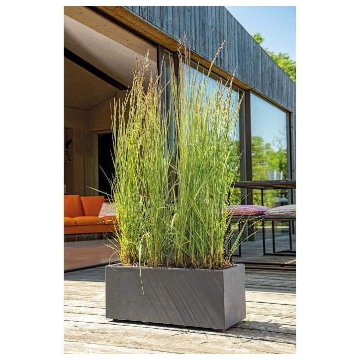 DEROMA Jardiniere Muret Millennium R - 59x25 x H25 cm - Anthracite - A réserve d'eau DEROMA Jardiniere Muret Millennium R - 59x25 x H25 cm - Anthracite - A réserve d'eau