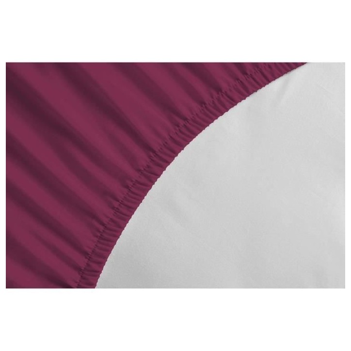 Drap-housse - LOVELY HOME - LH71611 - 160x200+30 cm - Fuchsia