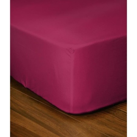 Drap-housse - LOVELY HOME - LH71613 - 90x190+30 cm - Fuchsia