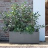 DEROMA Jardiniere Muret Millennium R - Ashgrey - 99 x h39 cm - A rése