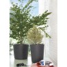 DEROMA Pot de fleurs Vase Millennium R - 59 x h49,5 cm - Anthracite -