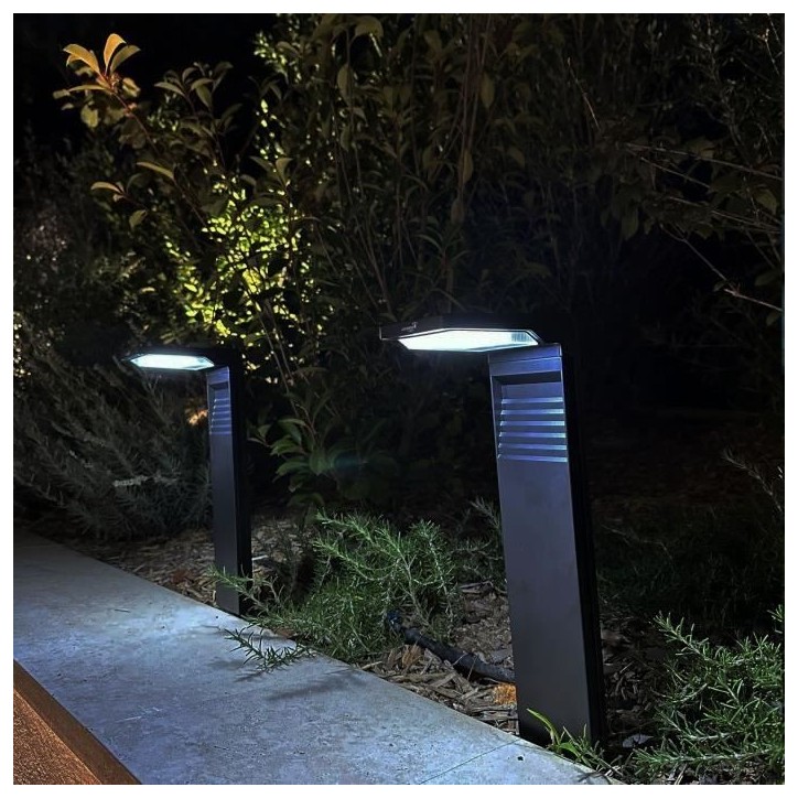 Lot de 2 balises solaires a planter - LUMISKY - OSTRY - H41 cm - LED blanc froid