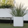 DEROMA Pot de fleurs Cube Cosmo - 38 x h39 cm - Perle - A réserve d'e