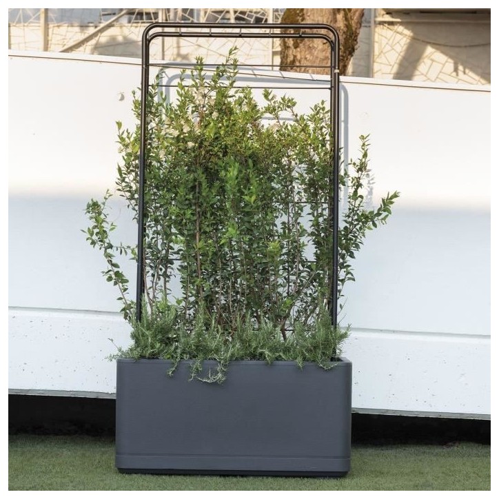 DEROMA Jardiniere Muret Cosmo - 78 x H39 cm - Anthracite - A réserve d'eau - Roulettes DEROMA Jardiniere Muret Cosmo - 78 x H39 cm - Anthracite - A réserve d'eau - Roulettes