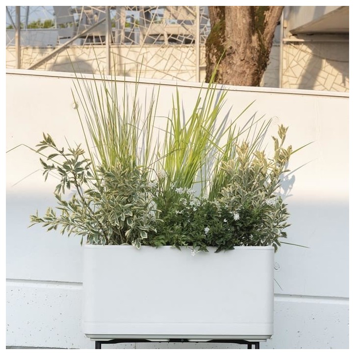 DEROMA Jardiniere Muret Cosmo - 78 x h39 cm - Perle - A réserve d'eau - Roulettes