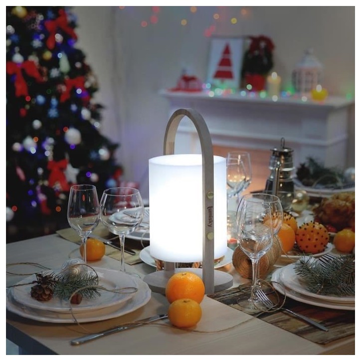 Lanterne extérieure LED Woody - LUMISKY - Blanc - Design scandinave - Poignée en bois naturel - Autonomie 10h Lanterne extérieure LED Woody - LUMISKY - Blanc - Design scandinave - Poignée en bois naturel - Autonomie 10h