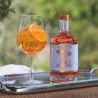Lyre'S - Italian Spritz - Base de Spritz Sans alcool - 70 cl