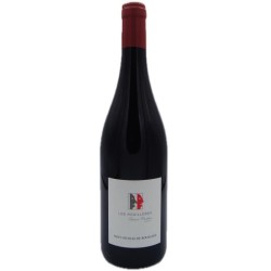 Domaine Frederic Mabileau Cuvée les Roullieres Saint Nicolas de Bourg