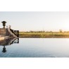 Domaine Mas de Rey Terre de Camargue 2024 Sable de Camargue - Vin ros