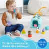 Fisher-Price-Trieur Caisse de Transport d'Animaux-Trieur 8 blocs HTW9
