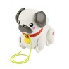 Fisher-Price-Mon Carlin a Promener-Jouet a tirer pour bébé HTW94