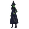 Mattel-Wicked-Poupée Elphaba avec accessoires et habillages amovibles