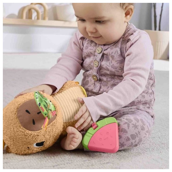Fisher-Price-Mon Capybara Câlins-Peluche Anneau De Dentition Et Hochet - Des 3 mois- HYR54