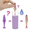 BARBIE Poupée Mini-BarbieLand Color Reveal-Poupée de 3,8 cm - Barbi