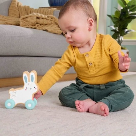 LAPIN A POUSSER EN BOIS