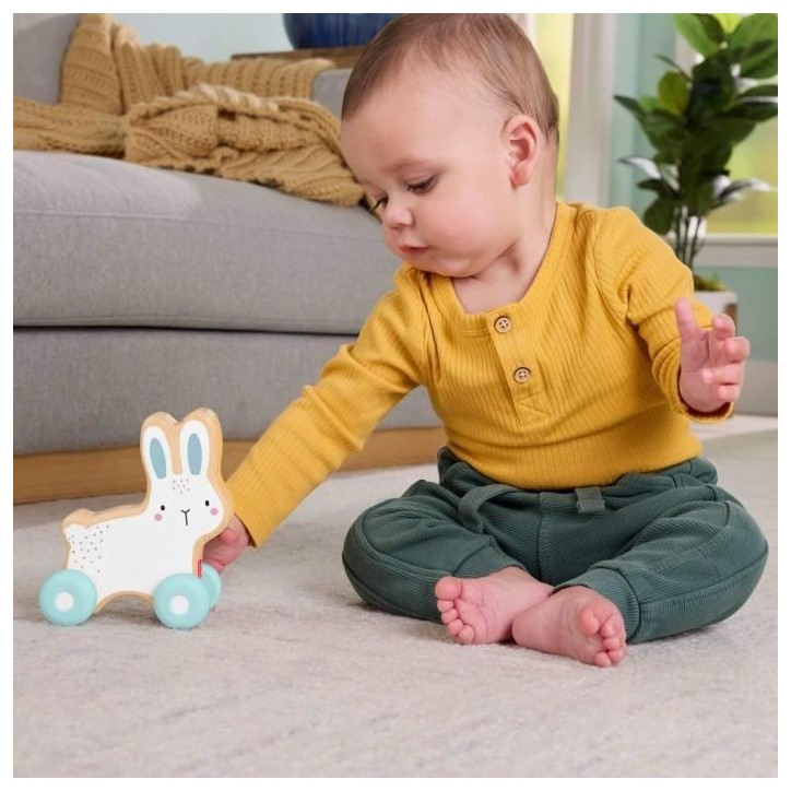 LAPIN A POUSSER EN BOIS