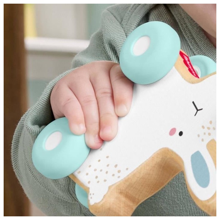LAPIN A POUSSER EN BOIS