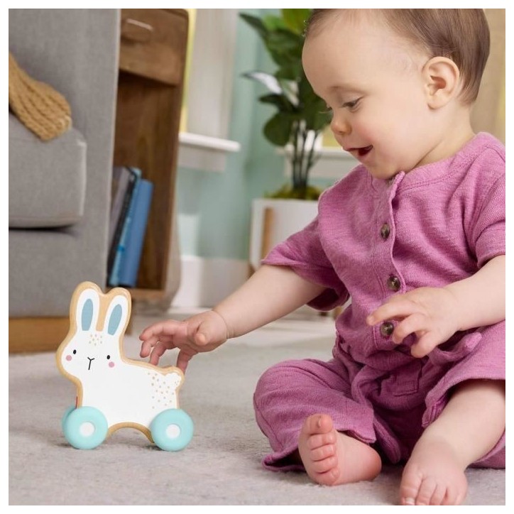 LAPIN A POUSSER EN BOIS