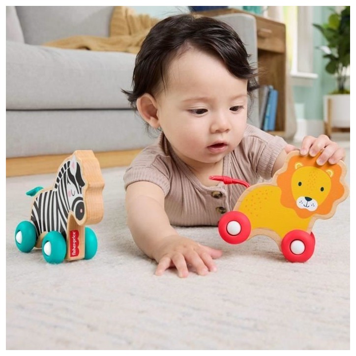 FISHER-PRICE Animaux a pousser en bois os - JFN19