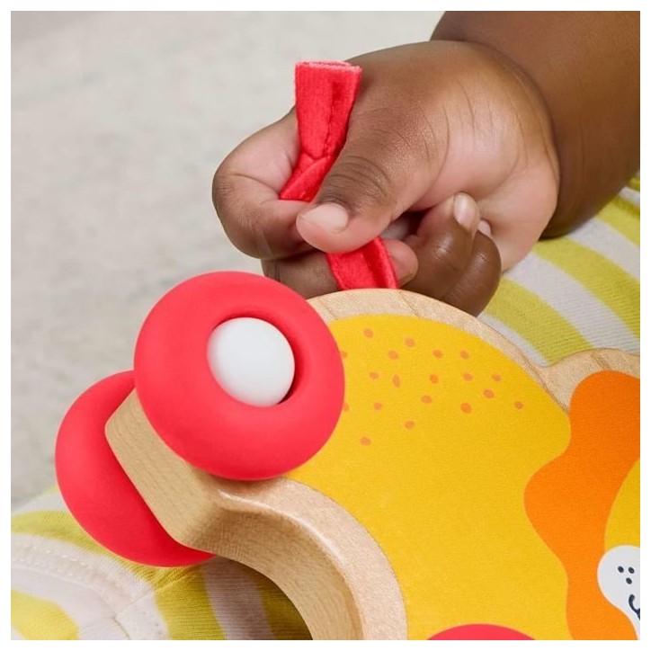 FISHER-PRICE Animaux a pousser en bois os - JFN19