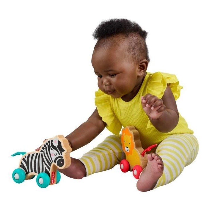 FISHER-PRICE Animaux a pousser en bois os - JFN19