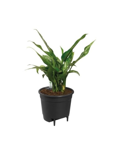 Elho Self-watering Insert Pot a fleurs 44 - Noir - Ø 43 x H 39 cm - intérieuraccessoires - 100% recyclé